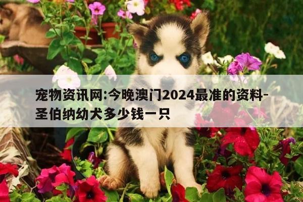 宠物资讯网:今晚澳门2024最准的资料-圣伯纳幼犬多少钱一只  第1张
