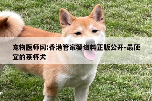 宠物医师网:香港管家婆资料正版公开-最便宜的茶杯犬  第1张