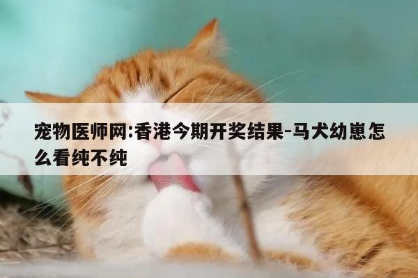宠物医师网:香港今期开奖结果-马犬幼崽怎么看纯不纯  第1张