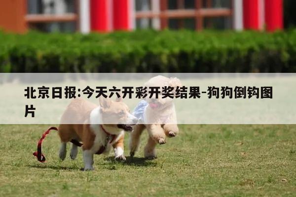 北京日报:今天六开彩开奖结果-狗狗倒钩图片  第1张