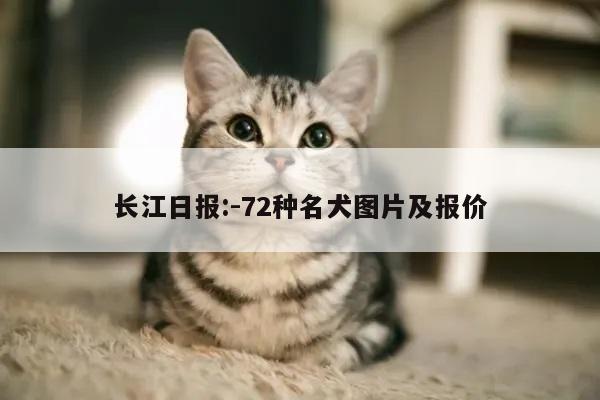 长江日报:-72种名犬图片及报价