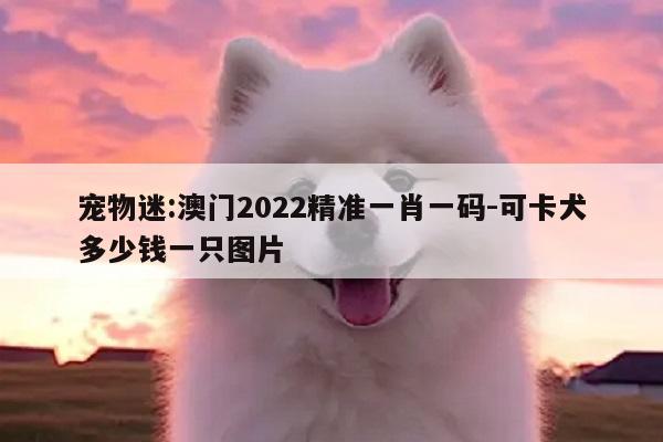 宠物迷:澳门2022精准一肖一码-可卡犬多少钱一只图片