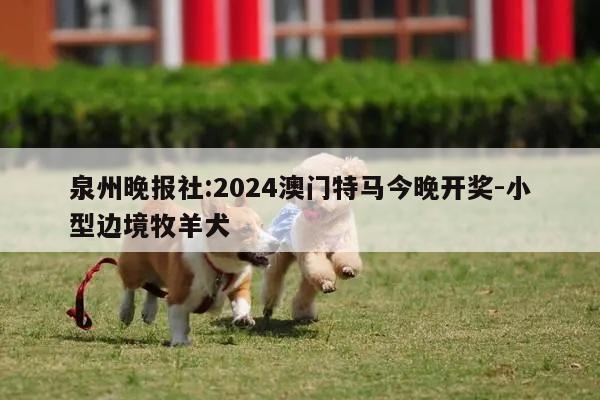 泉州晚报社:2024澳门特马今晚开奖-小型边境牧羊犬