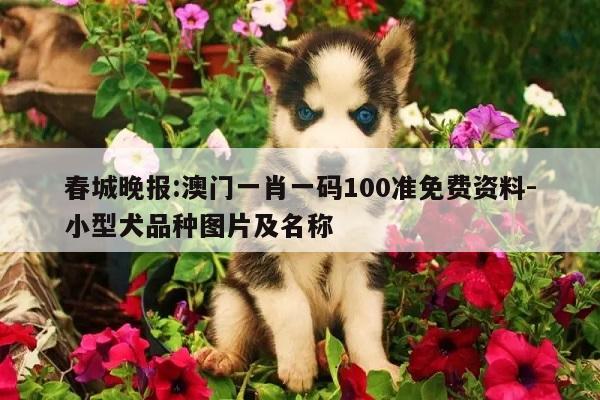 春城晚报:澳门一肖一码100准免费资料-小型犬品种图片及名称