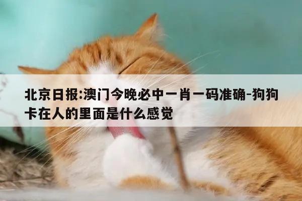 北京日报:澳门今晚必中一肖一码准确-狗狗卡在人的里面是什么感觉