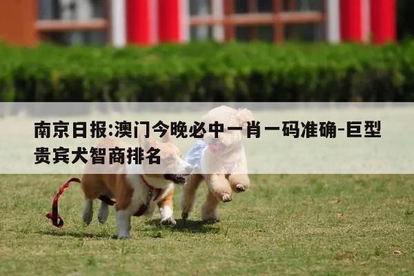 南京日报:澳门今晚必中一肖一码准确-巨型贵宾犬智商排名