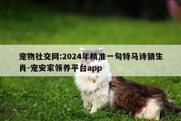 宠物社交网:2024年精准一句特马诗猜生肖-宠安家领养平台app