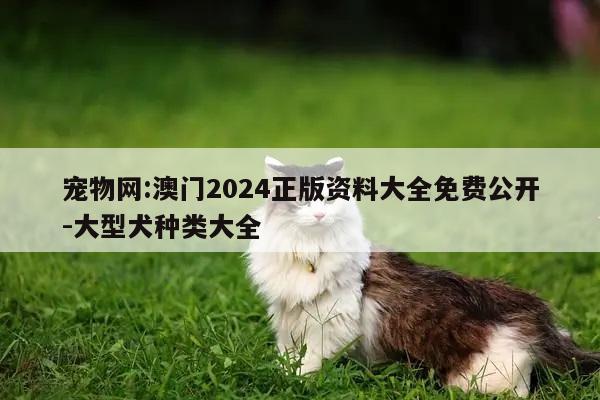 宠物网:澳门2024正版资料大全免费公开-大型犬种类大全