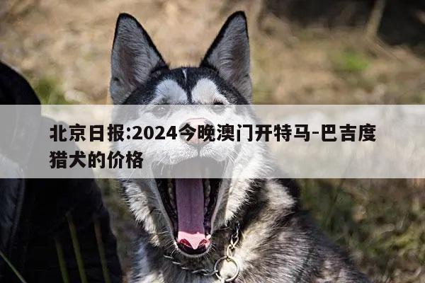 北京日报:2024今晚澳门开特马-巴吉度猎犬的价格
