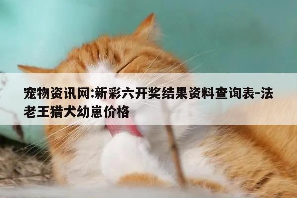 宠物资讯网:新彩六开奖结果资料查询表-法老王猎犬幼崽价格