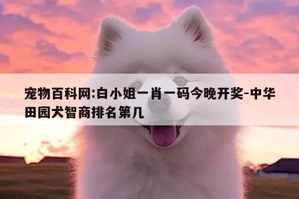 宠物百科网:白小姐一肖一码今晚开奖-中华田园犬智商排名第几