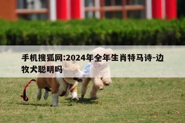手机搜狐网:2024年全年生肖特马诗-边牧犬聪明吗