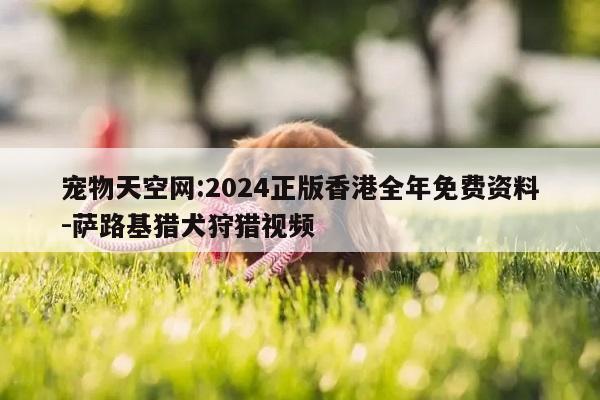 宠物天空网:2024正版香港全年免费资料-萨路基猎犬狩猎视频  第1张