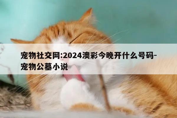 宠物社交网:2024澳彩今晚开什么号码-宠物公墓小说