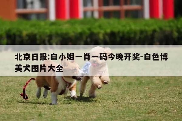 北京日报:白小姐一肖一码今晚开奖-白色博美犬图片大全