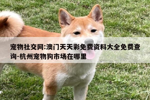 宠物社交网:澳门天天彩免费资料大全免费查询-杭州宠物狗市场在哪里