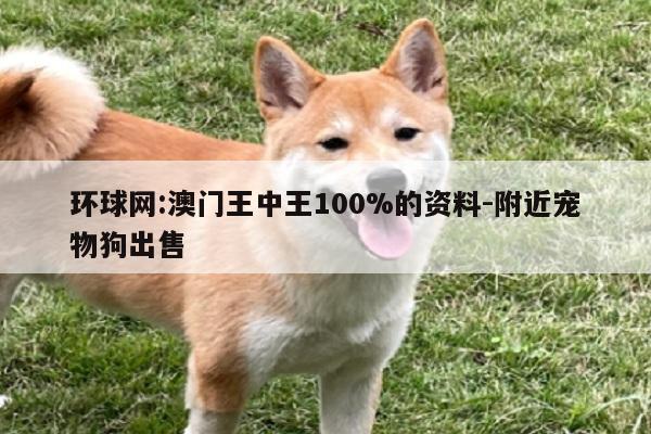 环球网:澳门王中王100%的资料-附近宠物狗出售